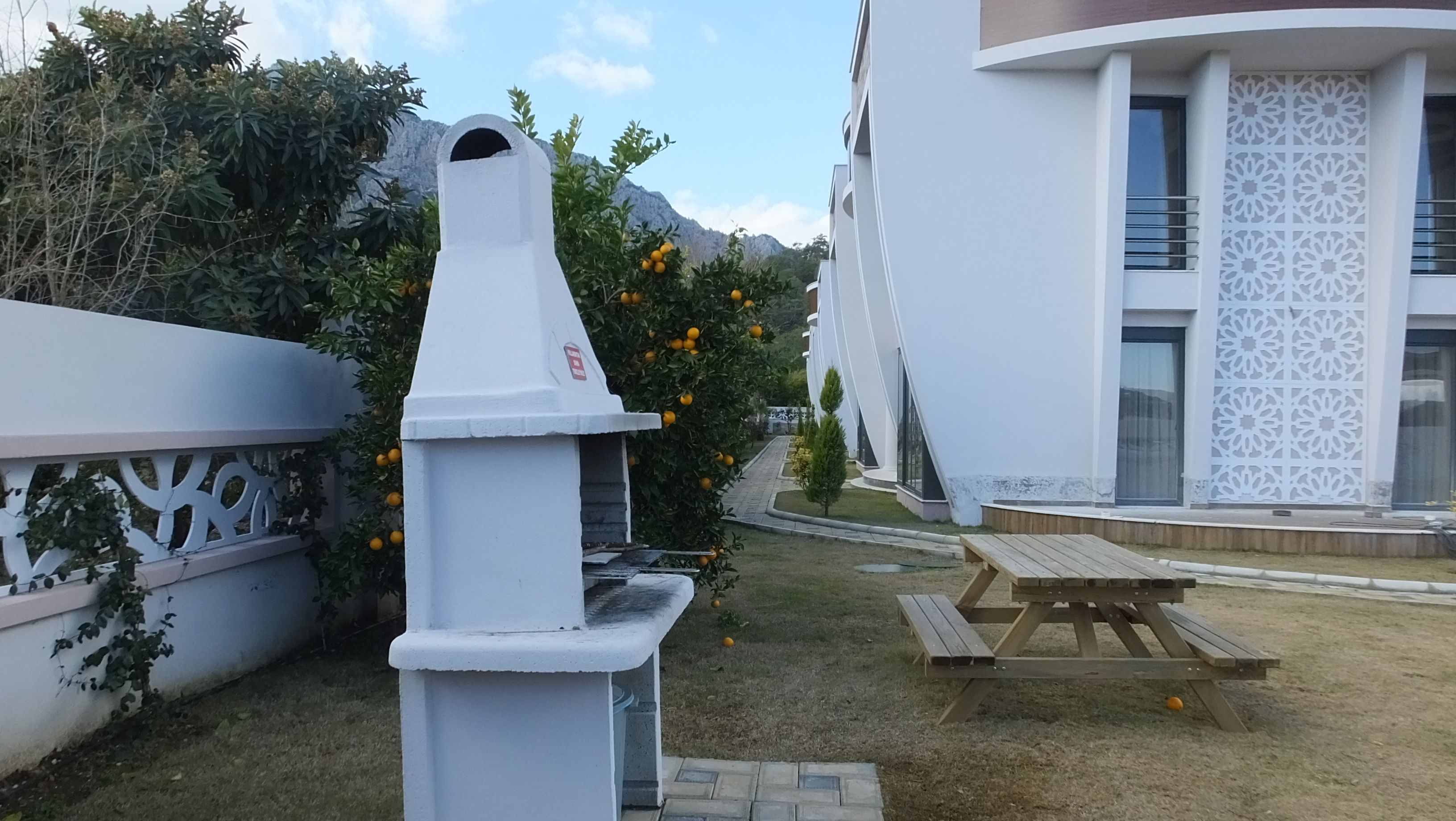 A white building with a modern design, a wooden bench, and a tree with oranges.
