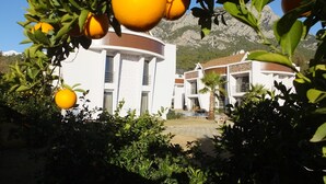 A modern building with a curved facade, surrounded by lush greenery and mountains in the background. - Han-De Homes (Kemer)