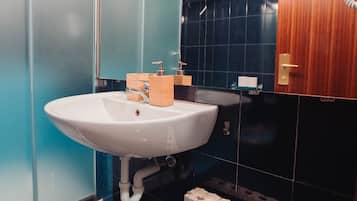 Regadera, secadora de cabello, bidet, toallas