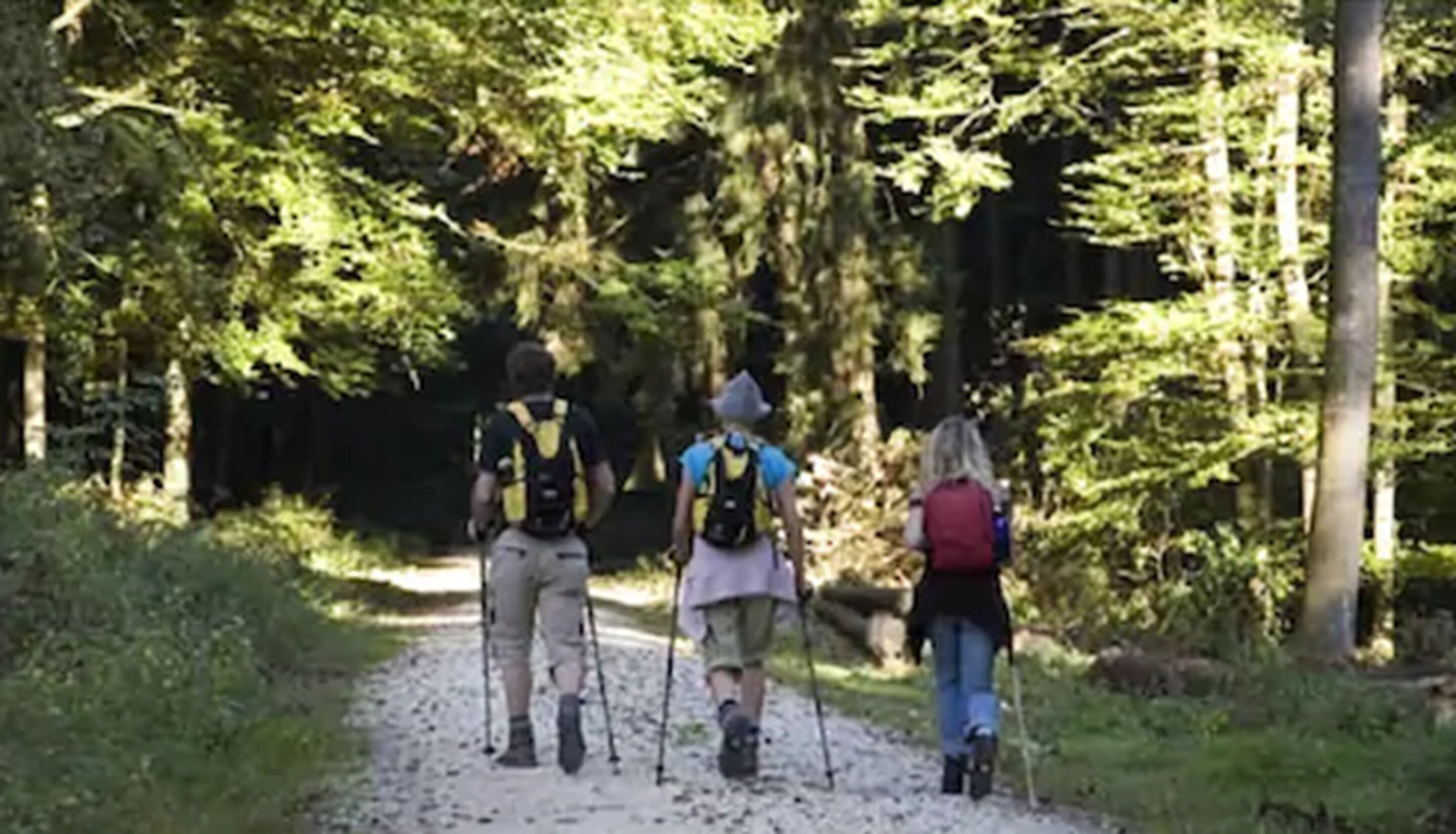 Foto - Hotel Sonnengarten