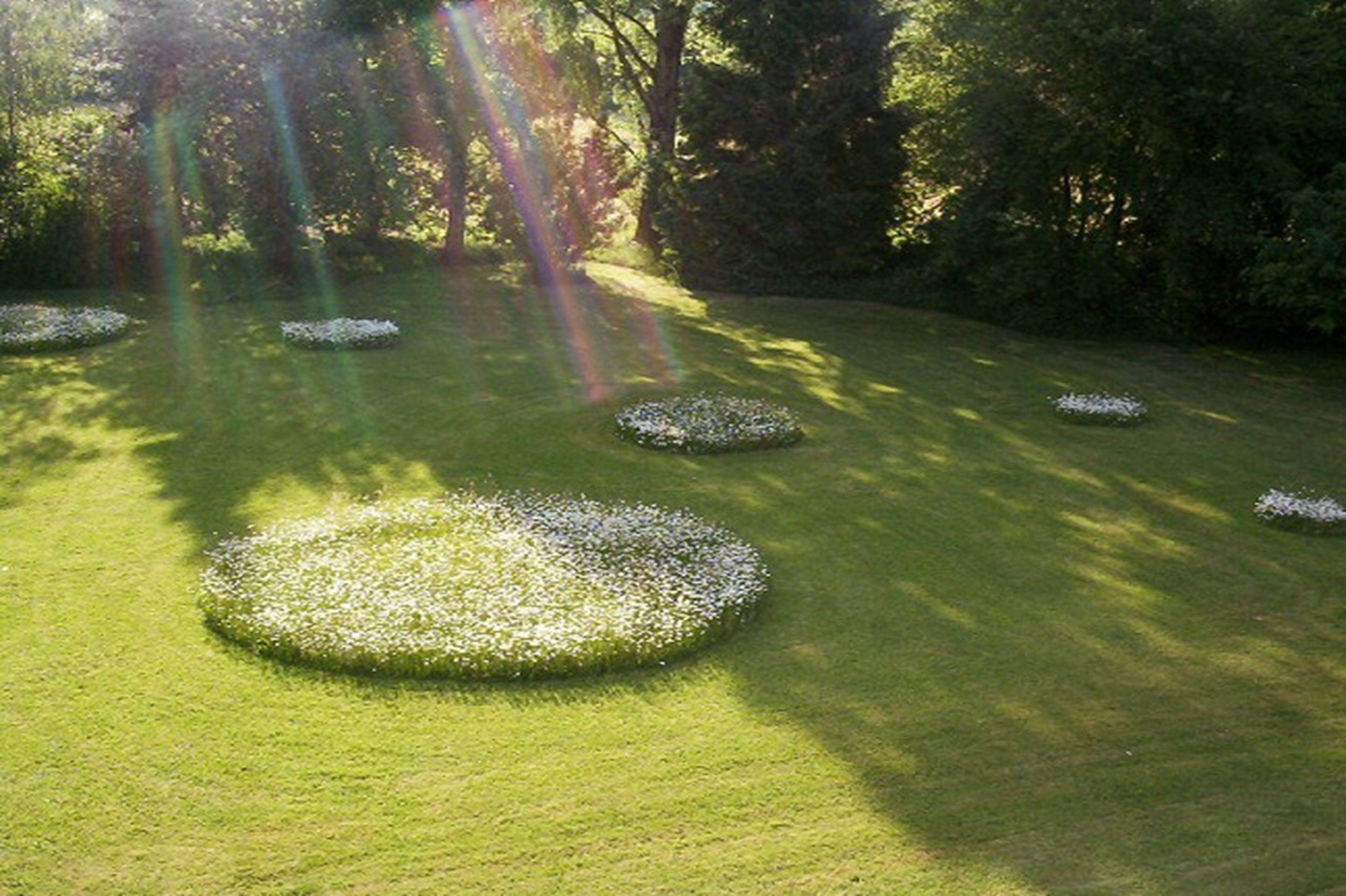 Foto - Hotel Sonnengarten