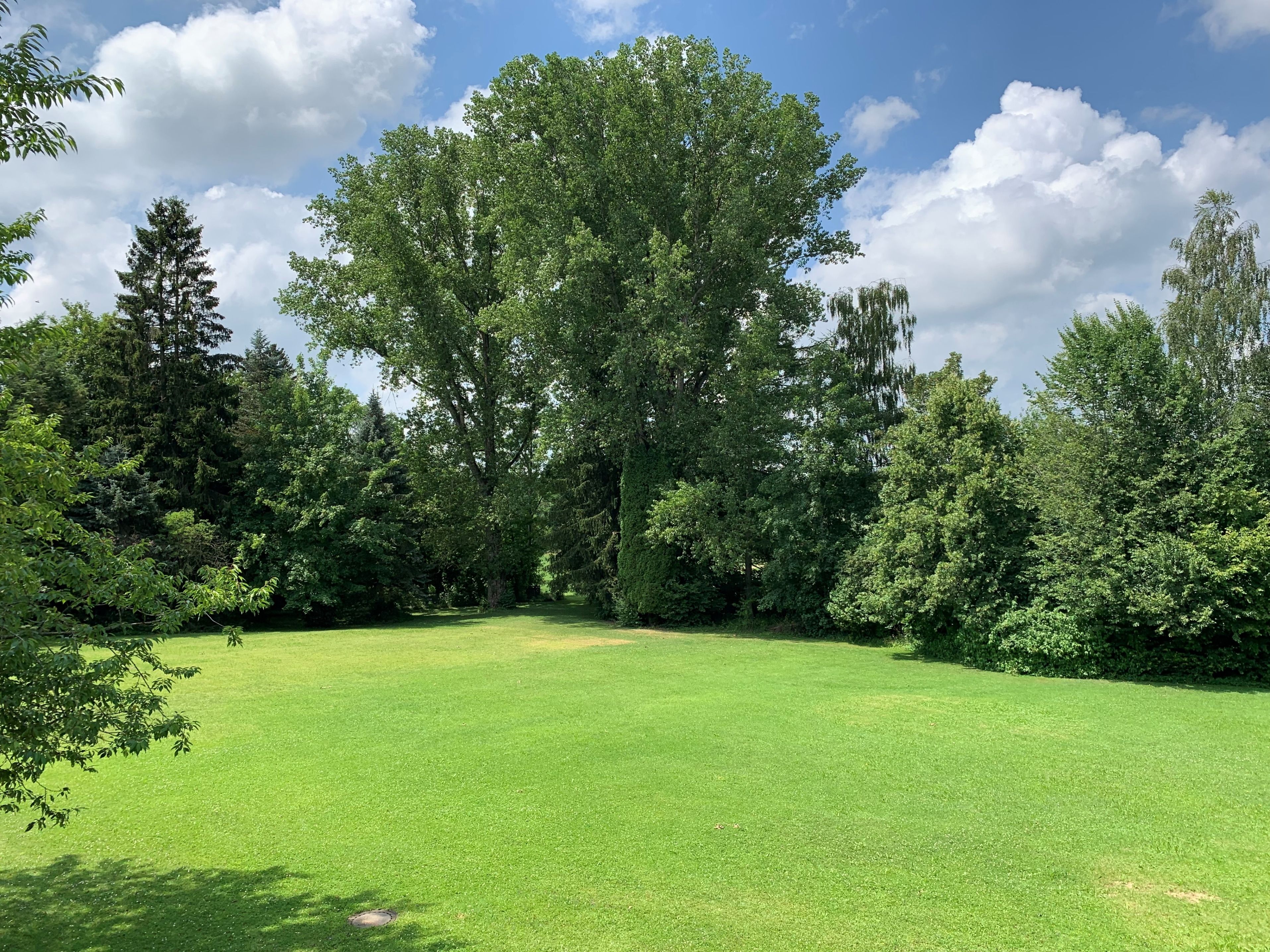 Foto - Hotel Sonnengarten