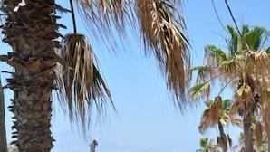 A playground with slides and swings, palm trees, a paved walkway, and a view of the ocean. - Hotel Bat Yam (Bat Yam)