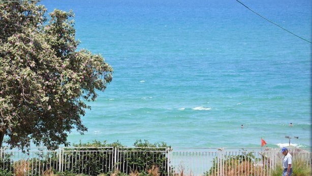 A coastal view with a tree and a metal fence. - Hotel Bat Yam (Bat Yam)