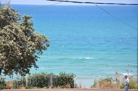 Vista desde la habitación