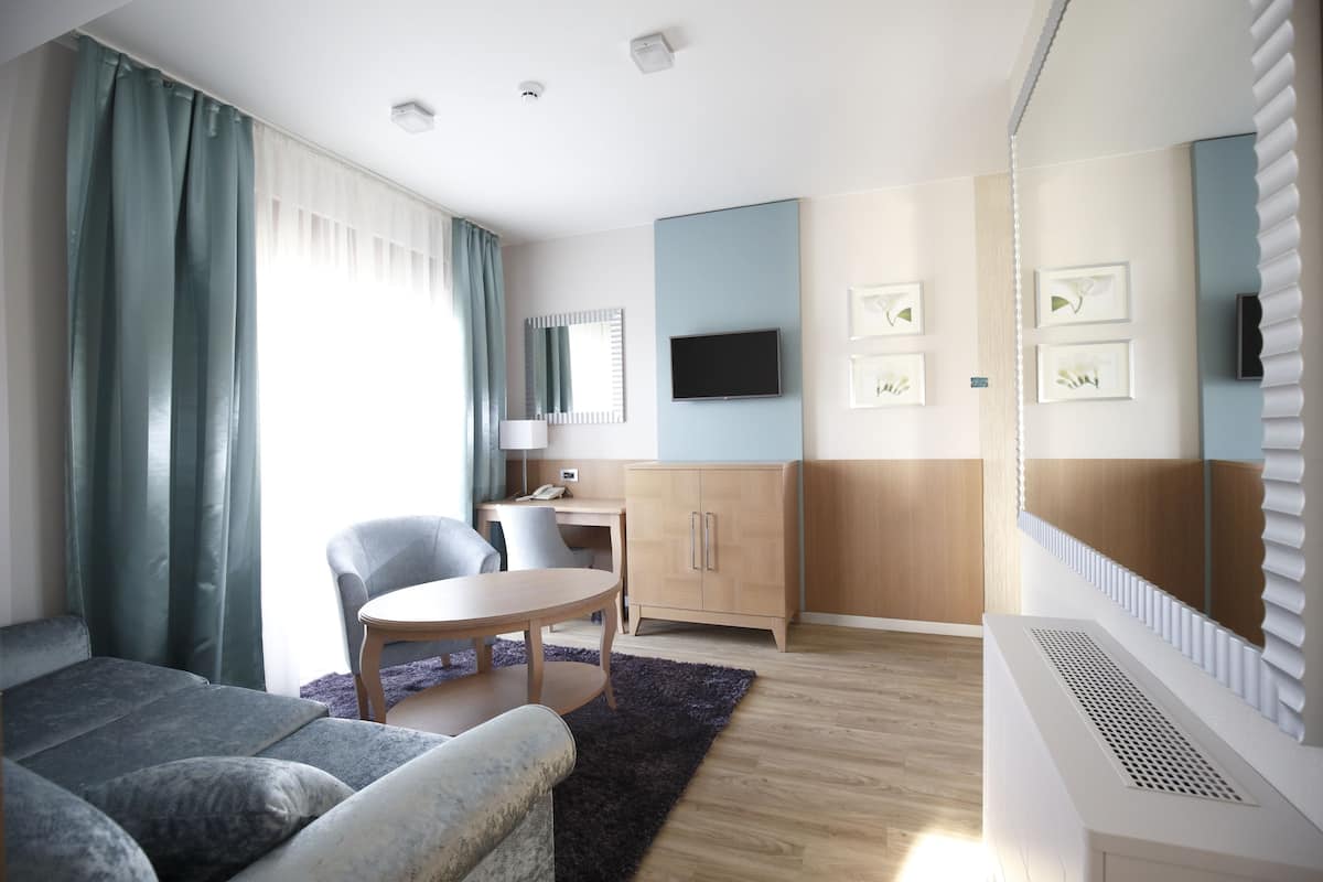 Suite | Living area | Flat-screen TV