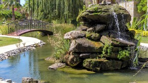 Een tuin met een kleine waterval, een brug en een vijver.
