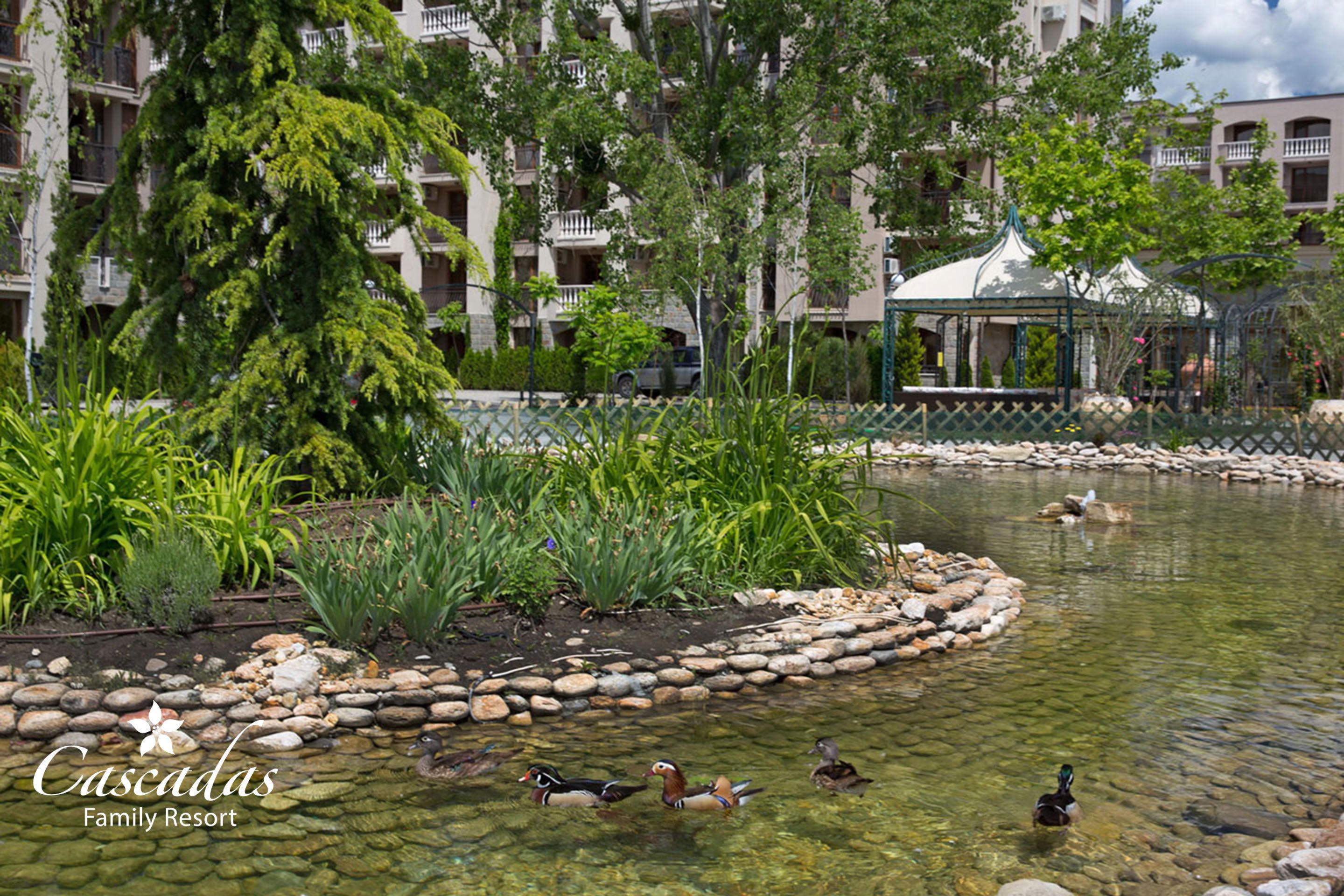A pond with ducks, surrounded by greenery and a building with balconies.