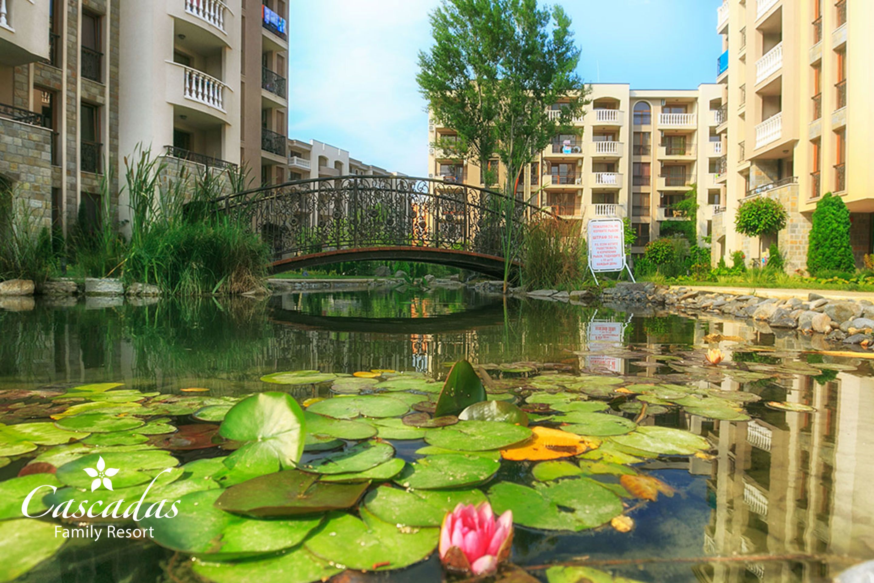 A pond with lily pads and a pink water lily, surrounded by greenery and a bridge.