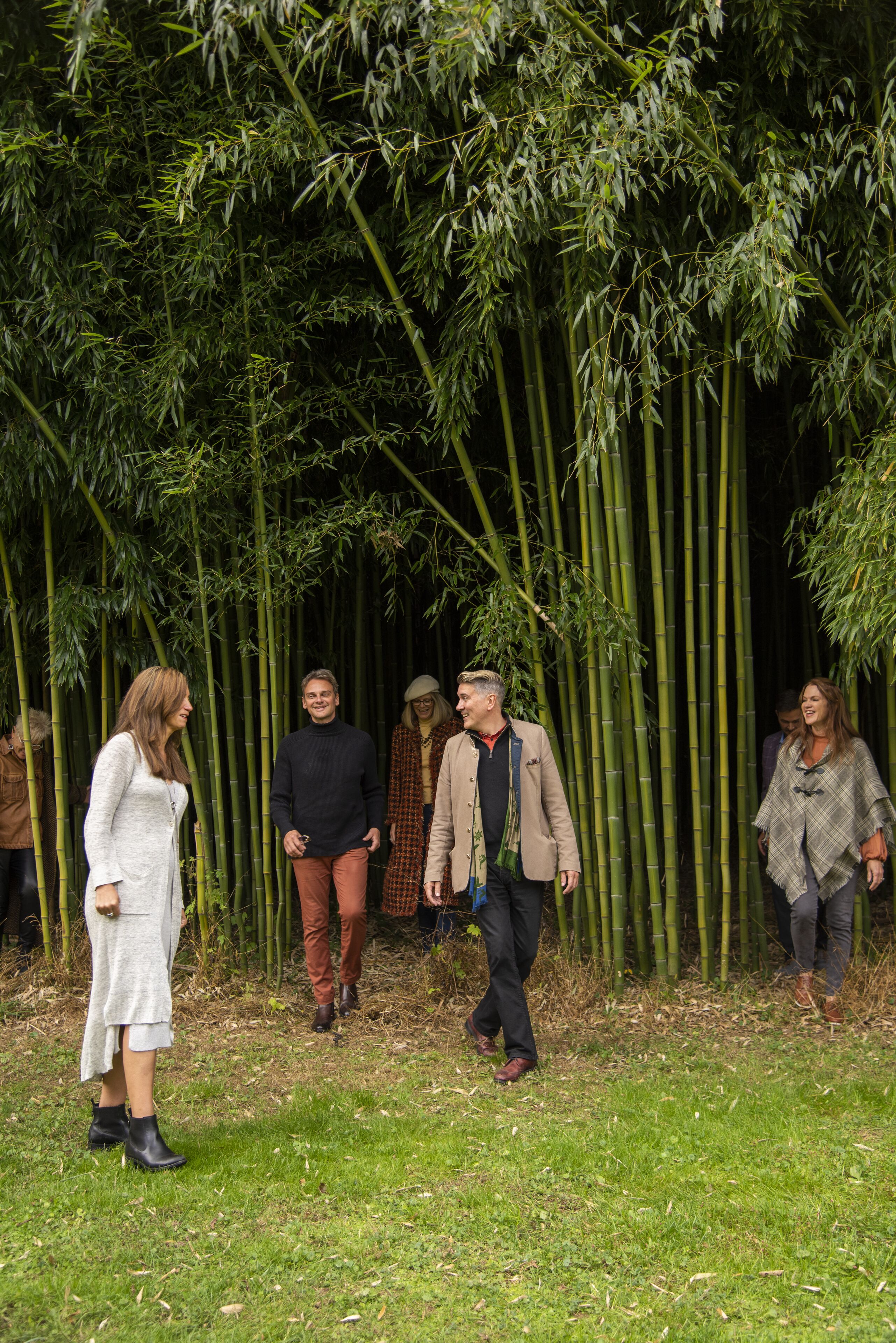 A group of people walking through a bamboo forest.