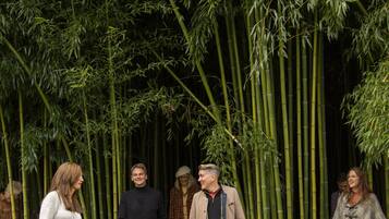 A group of people walking through a bamboo forest.