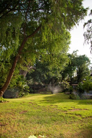 Jardin