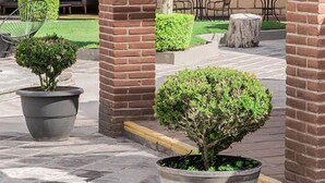 Porch - Hotel Sol y Fiesta (Tequisquiapan)