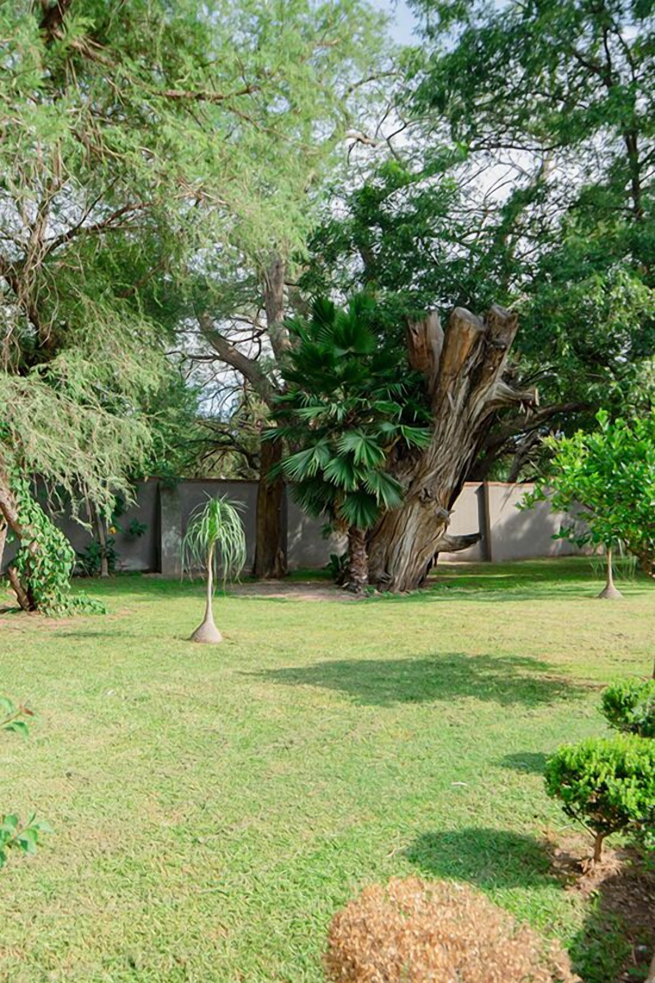 Jardín