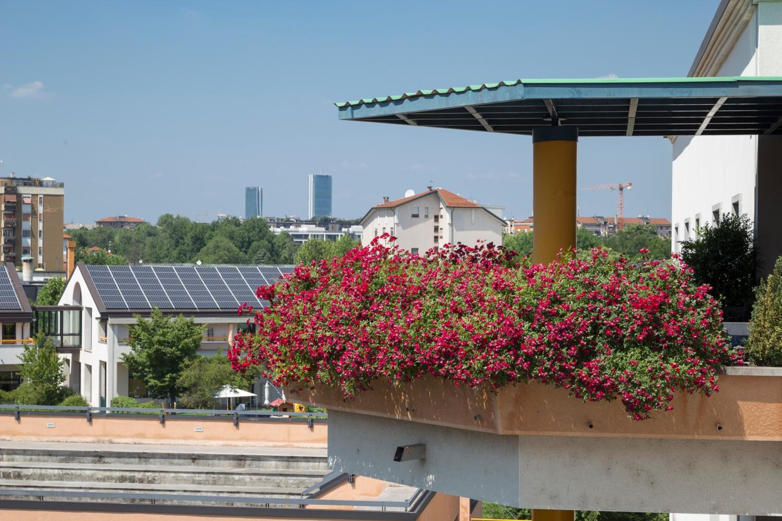 Foto - La Cordata Accommodation - Zumbini 6