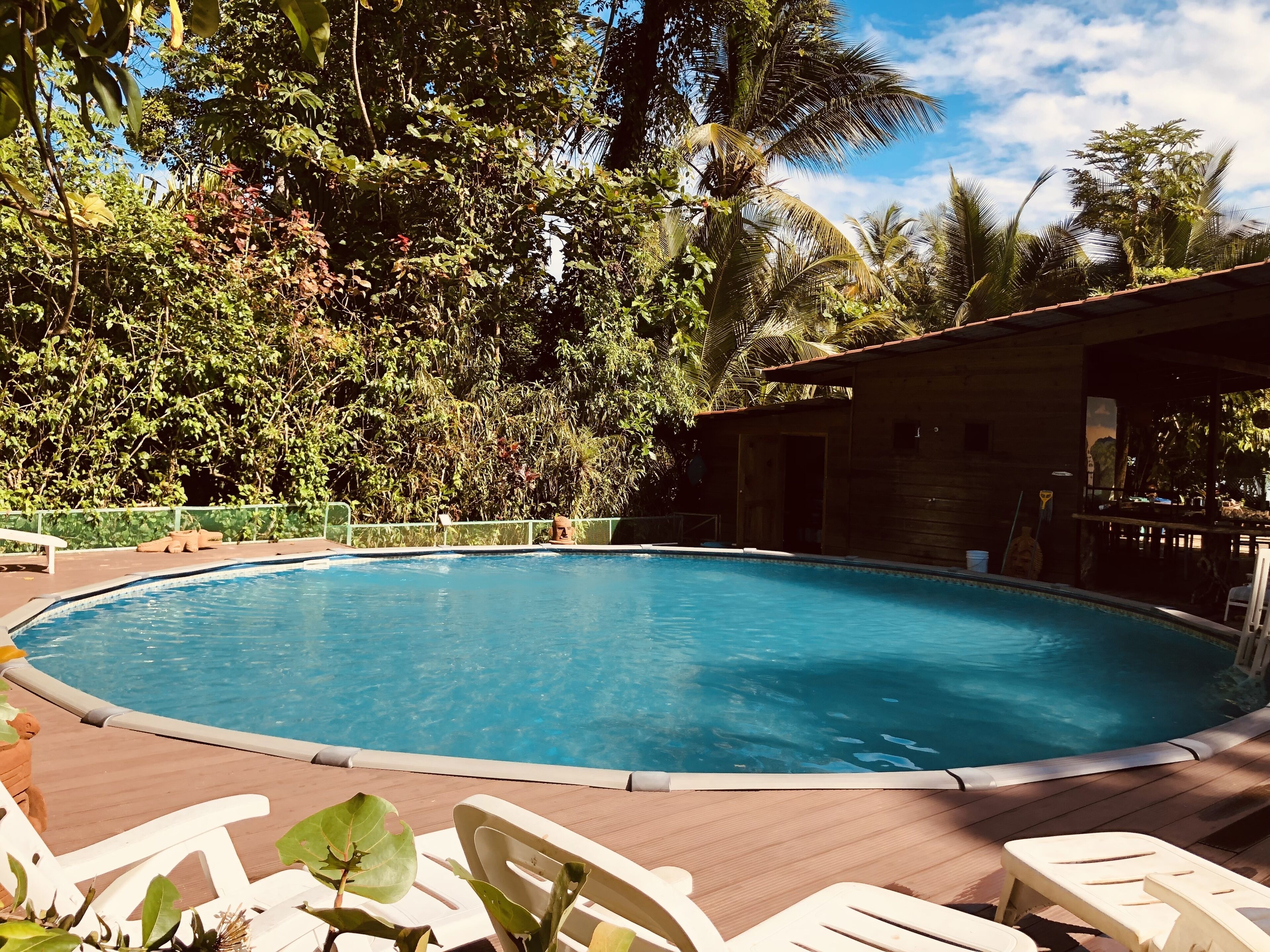 Een buitenzwembad en ligstoelen