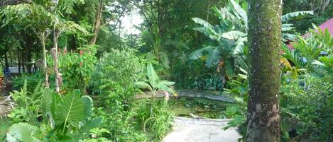 A lush garden with a variety of plants and a small pond.