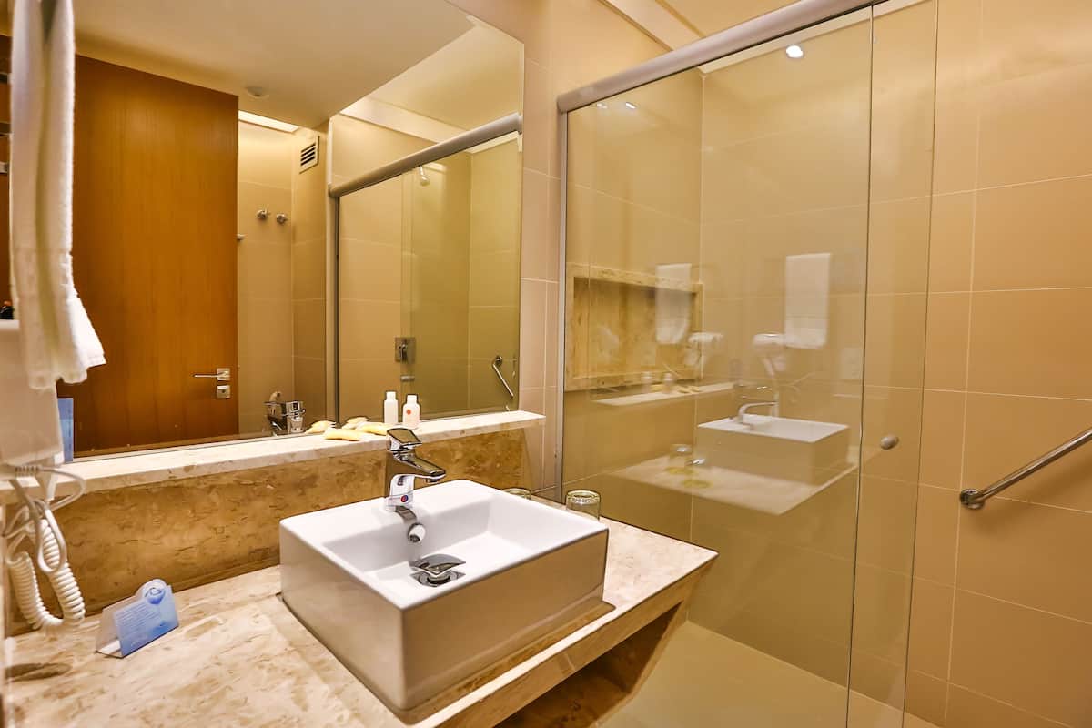 shower, free toiletries, hair dryer, towels