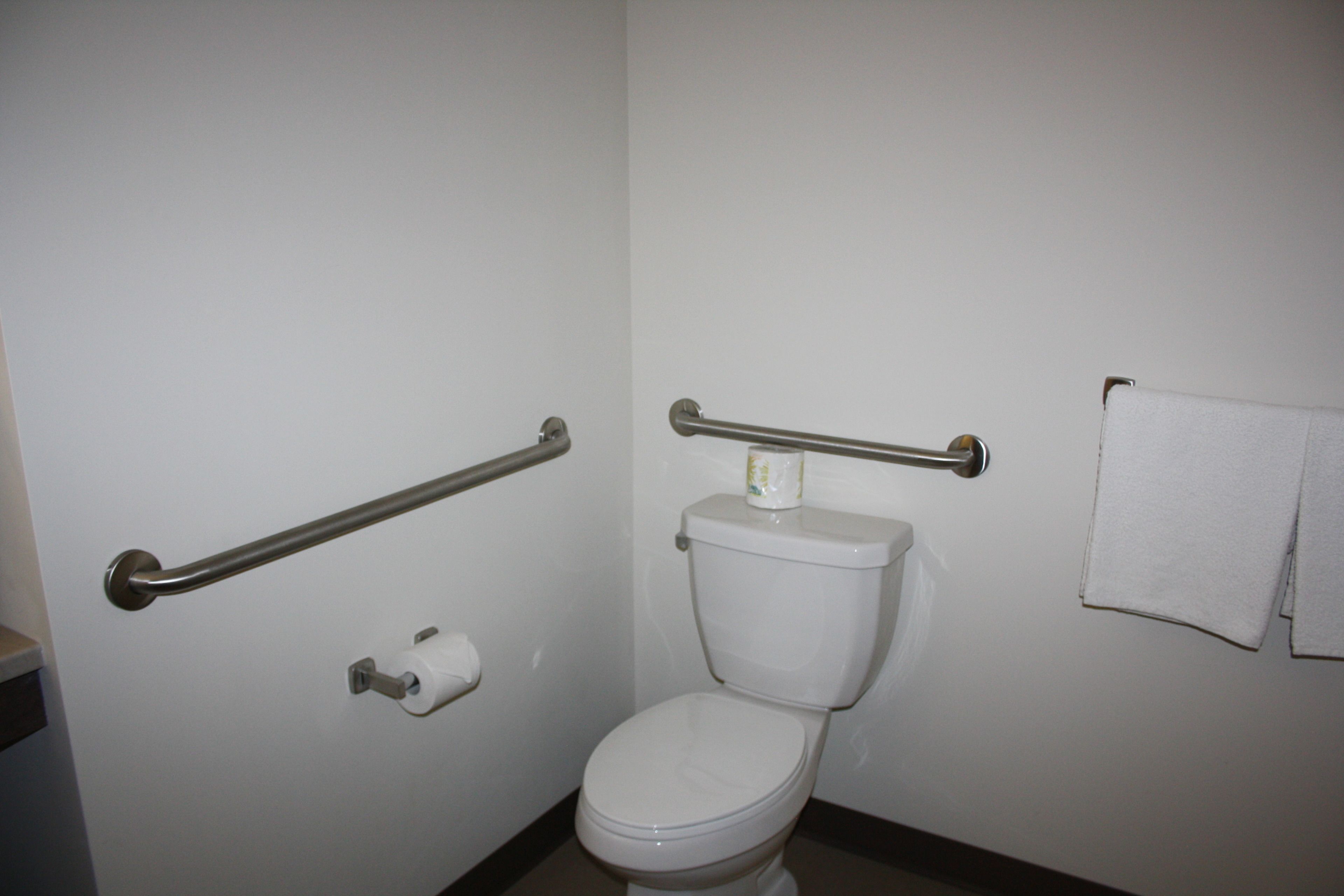 Un baño con inodoro blanco, barras de apoyo, un perchero y dispensador de papel higiénico.