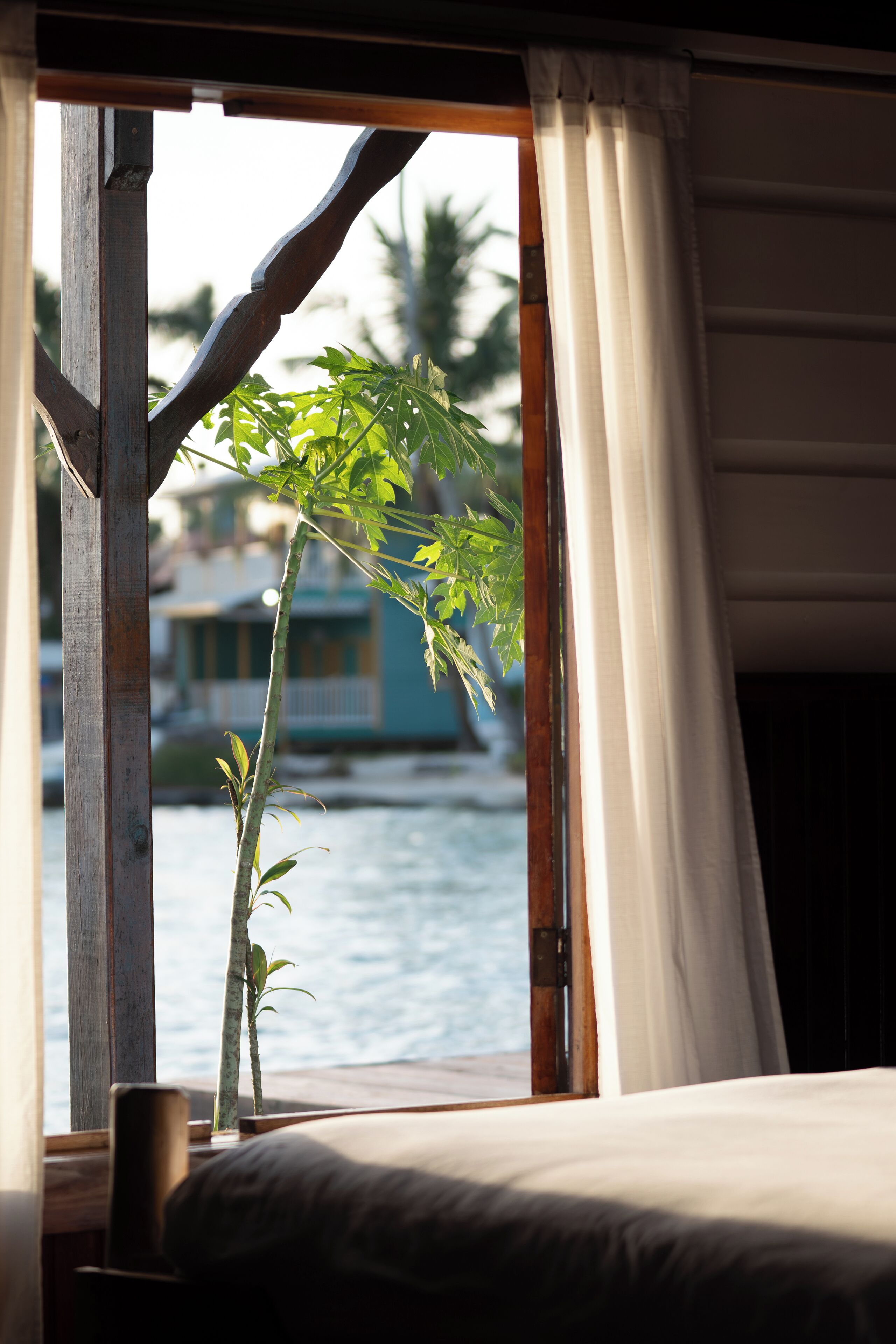 Habitación Deluxe, 1 cama Queen size, cocineta, vista al océano | Ropa de cama de alta calidad, edredón y camas con pillow-top 