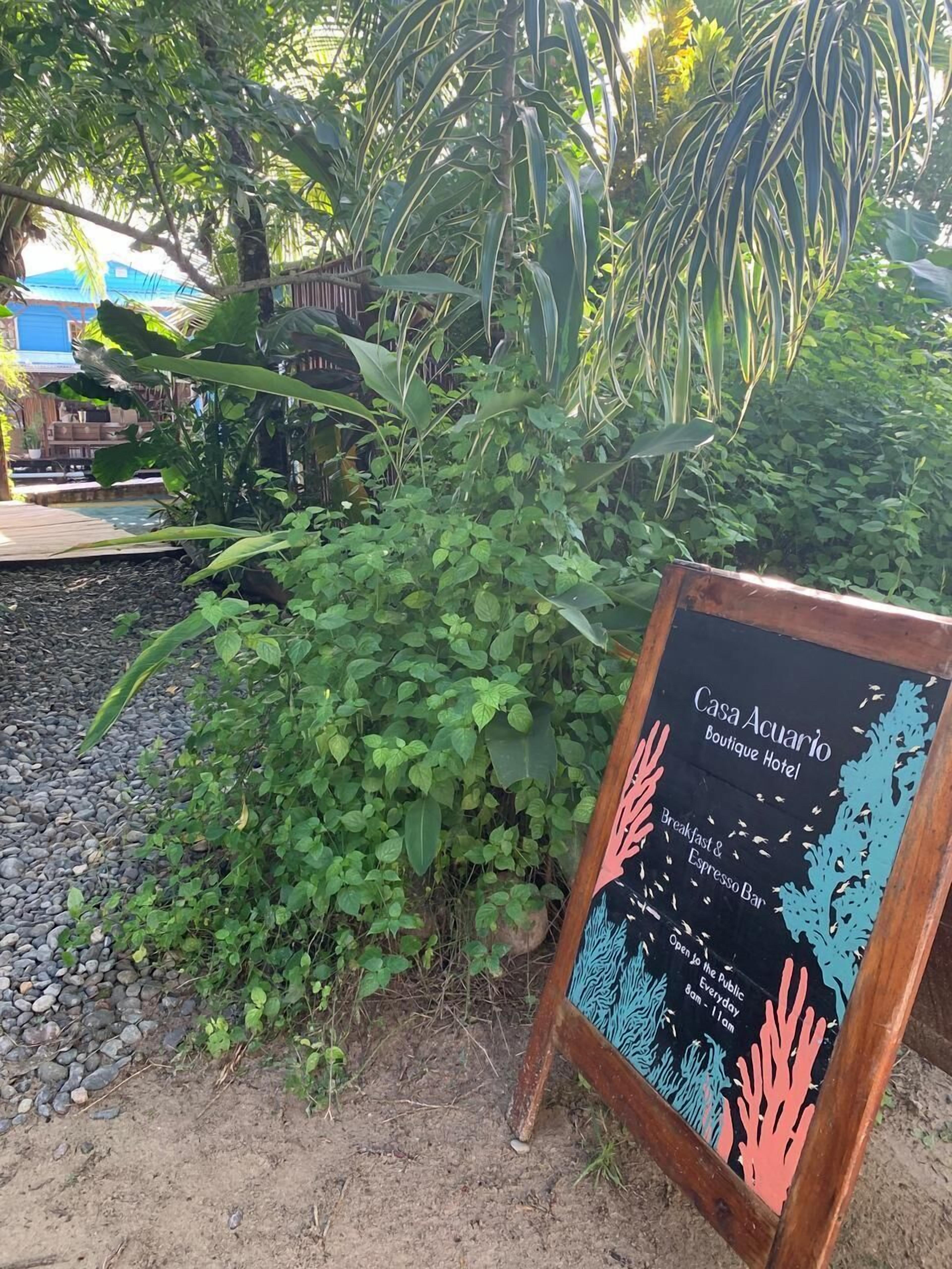 Foto - Casa Acuario
