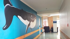 Käytävässä on seinämaalaus, jossa on kuvattuna valas, ja seinät on verhoiltu puupaneeleilla. Kauempana näkyy vastaanottoalue.
