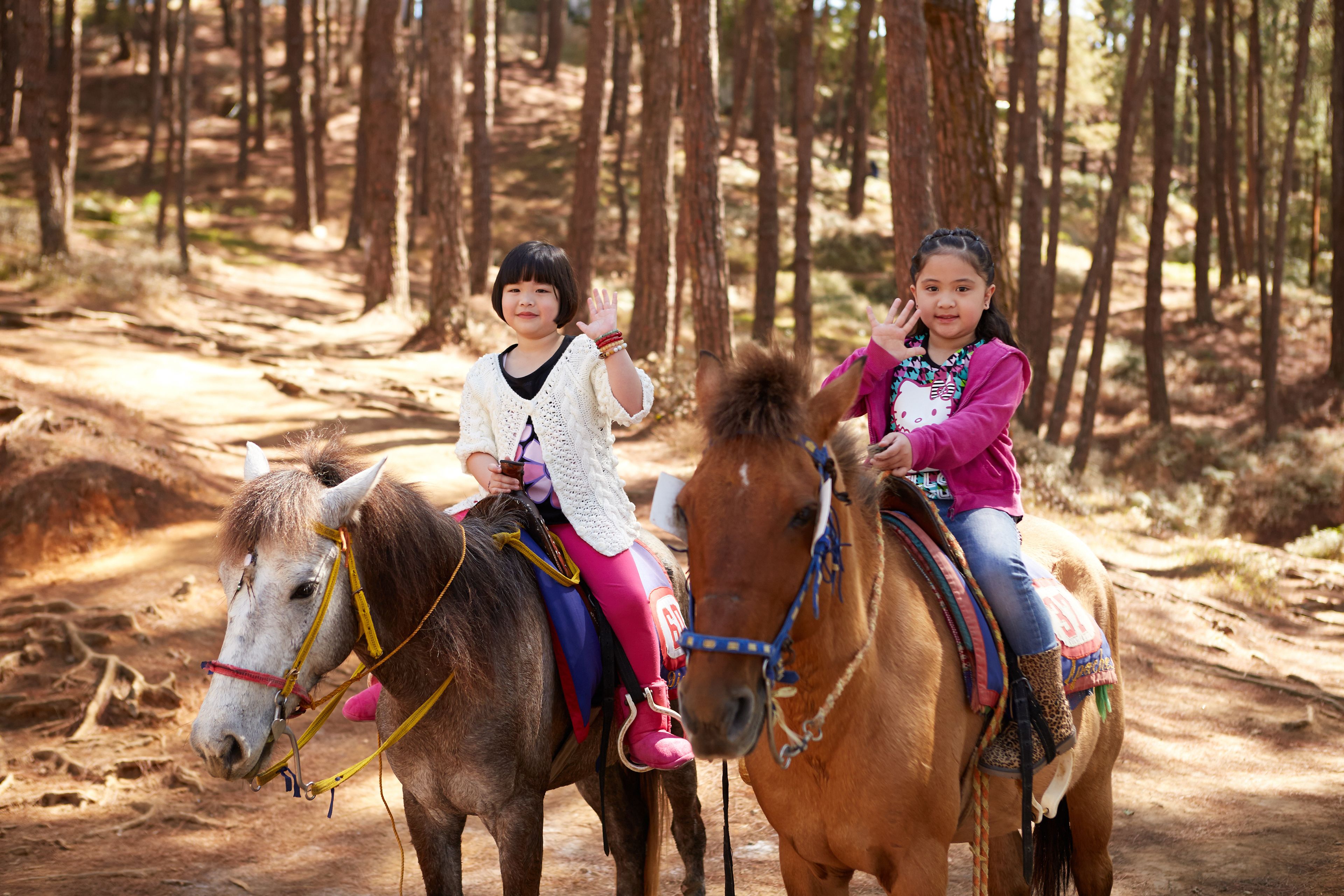 Two children riding horses in a forested area.