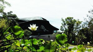 A modern building with a curved roof, surrounded by lush greenery and large water lilies.