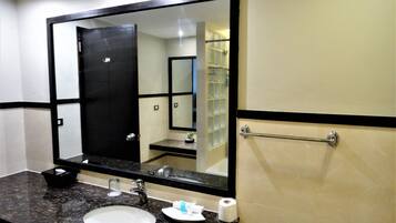 A bathroom with a large mirror, a sink, a towel rack, and a toilet paper dispenser.