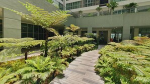 A modern indoor atrium with a central wooden pathway surrounded by lush green ferns and small trees.