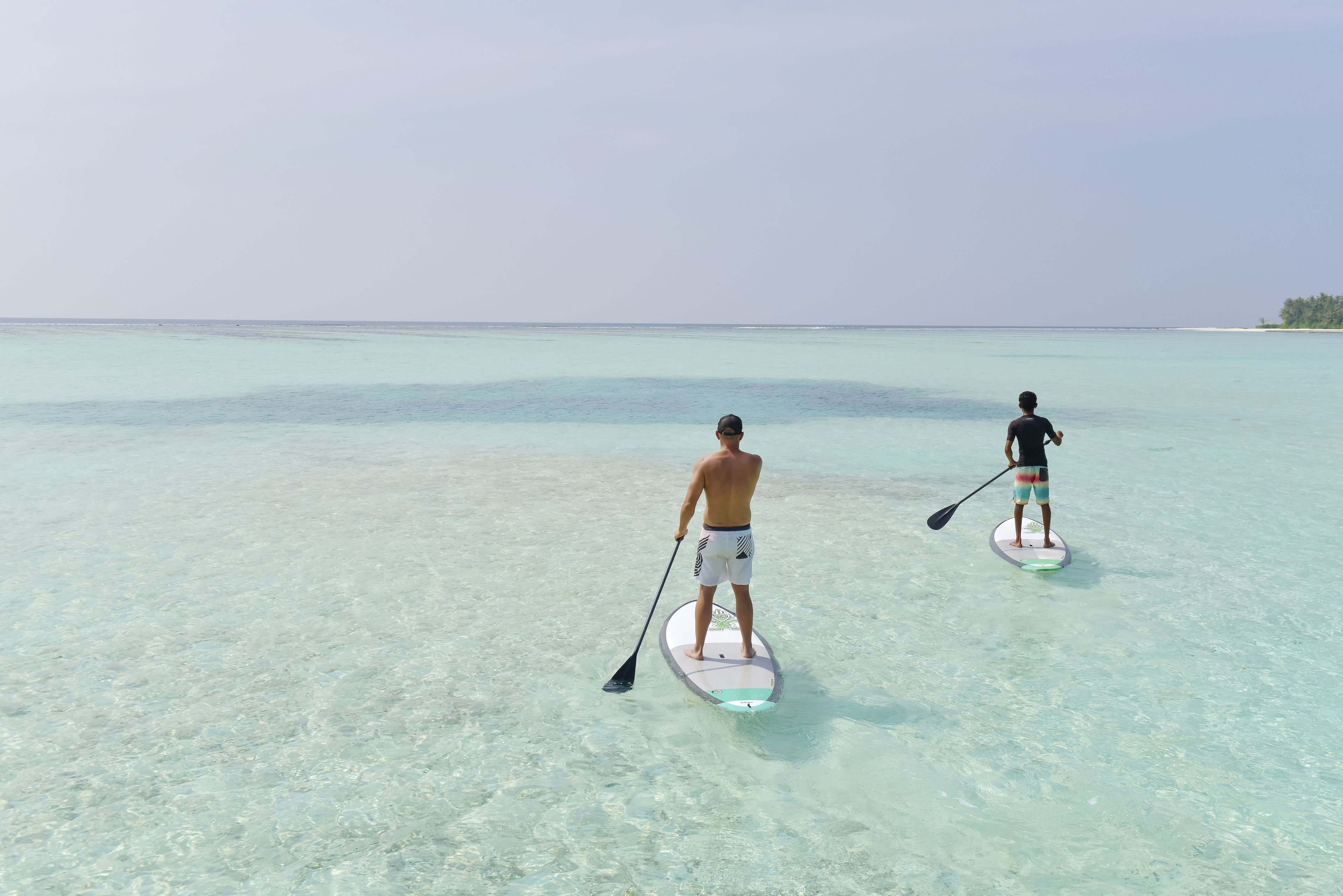 Two people paddleboarding on a clear turquoise sea.