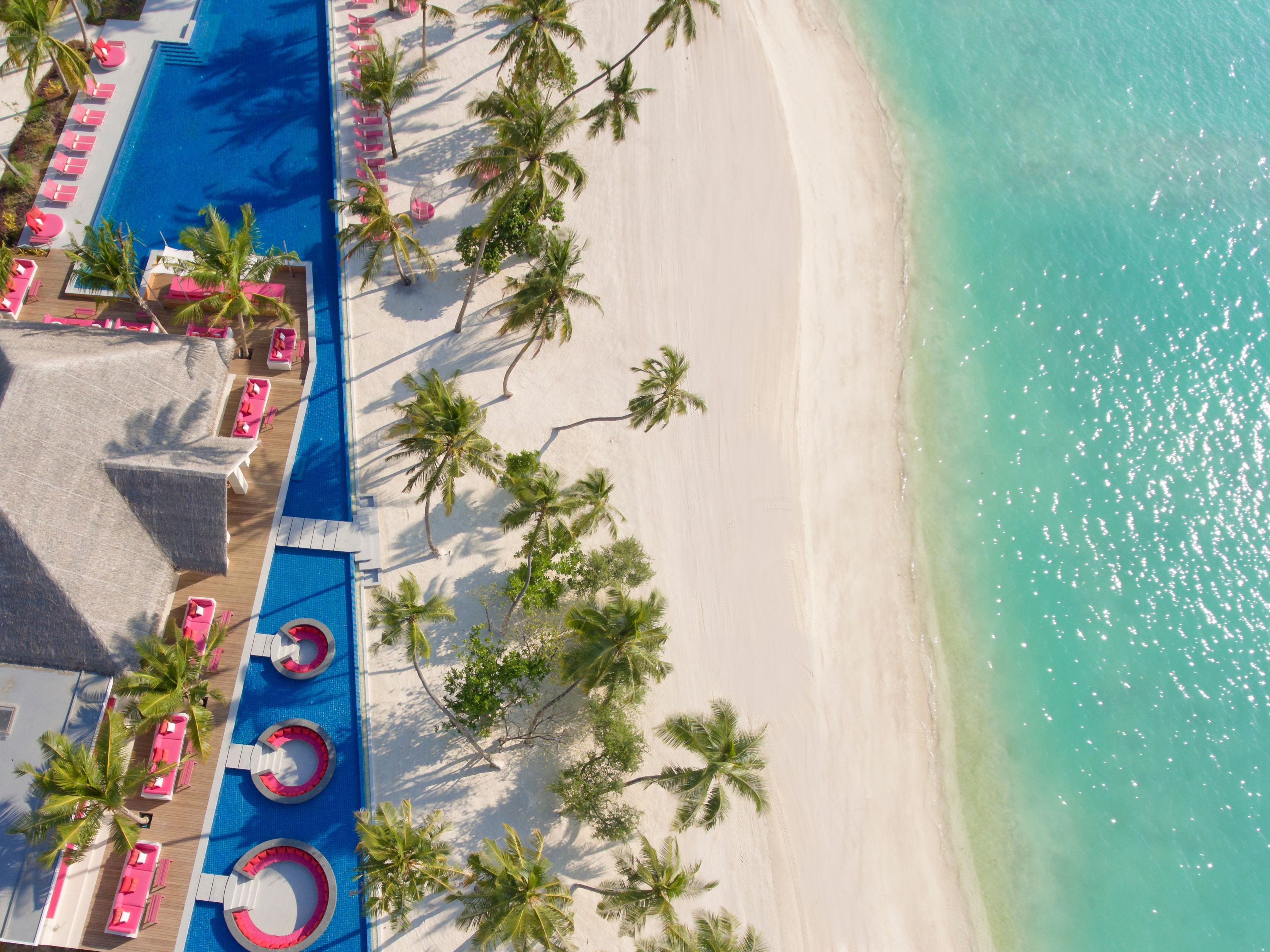 An aerial view of a beach resort with a pool area, sun loungers, and palm trees.