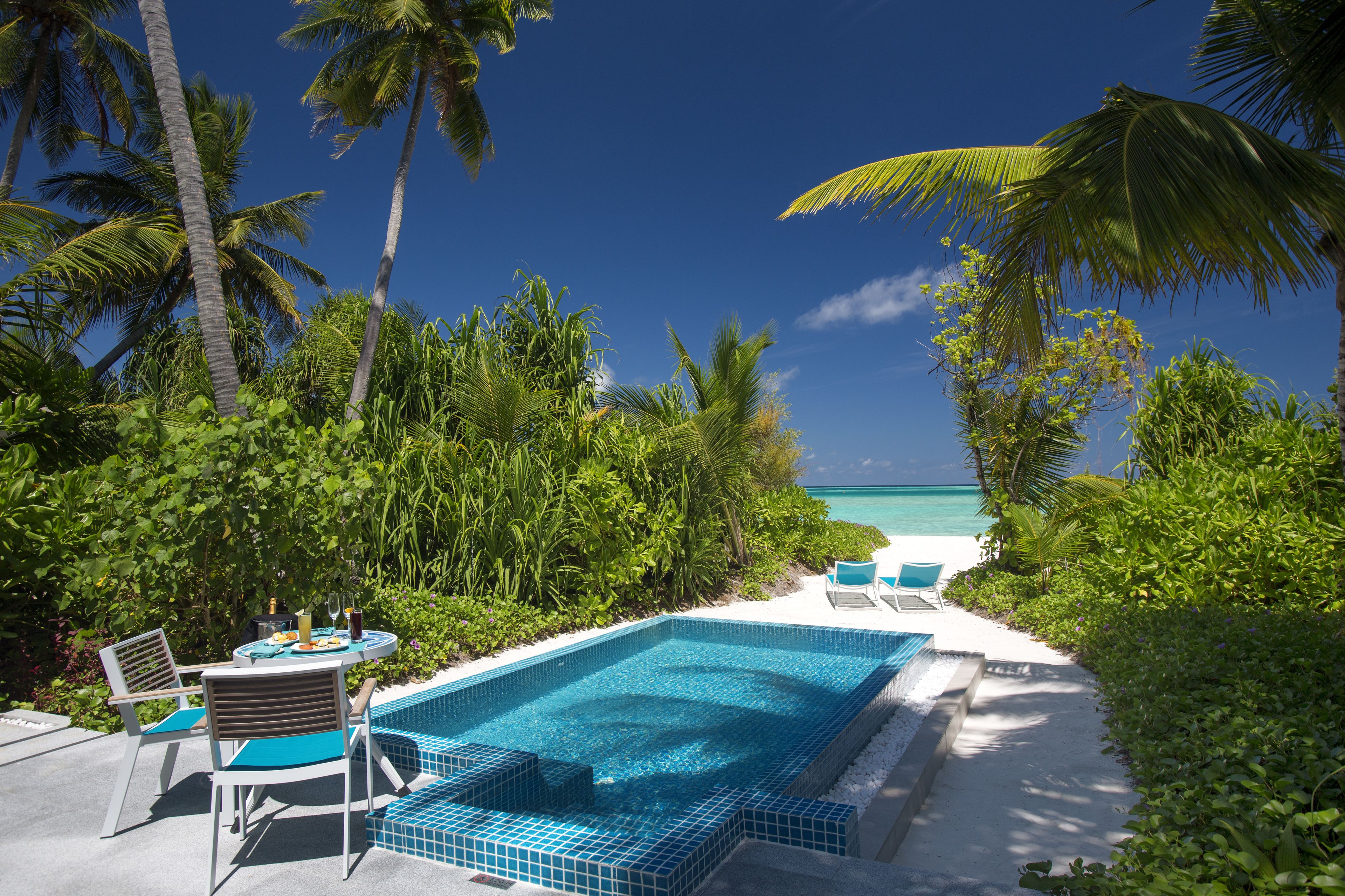 A pool area with a view of the ocean, surrounded by palm trees and greenery.
