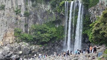 A waterfall cascading down a rocky cliff surrounded by lush greenery.