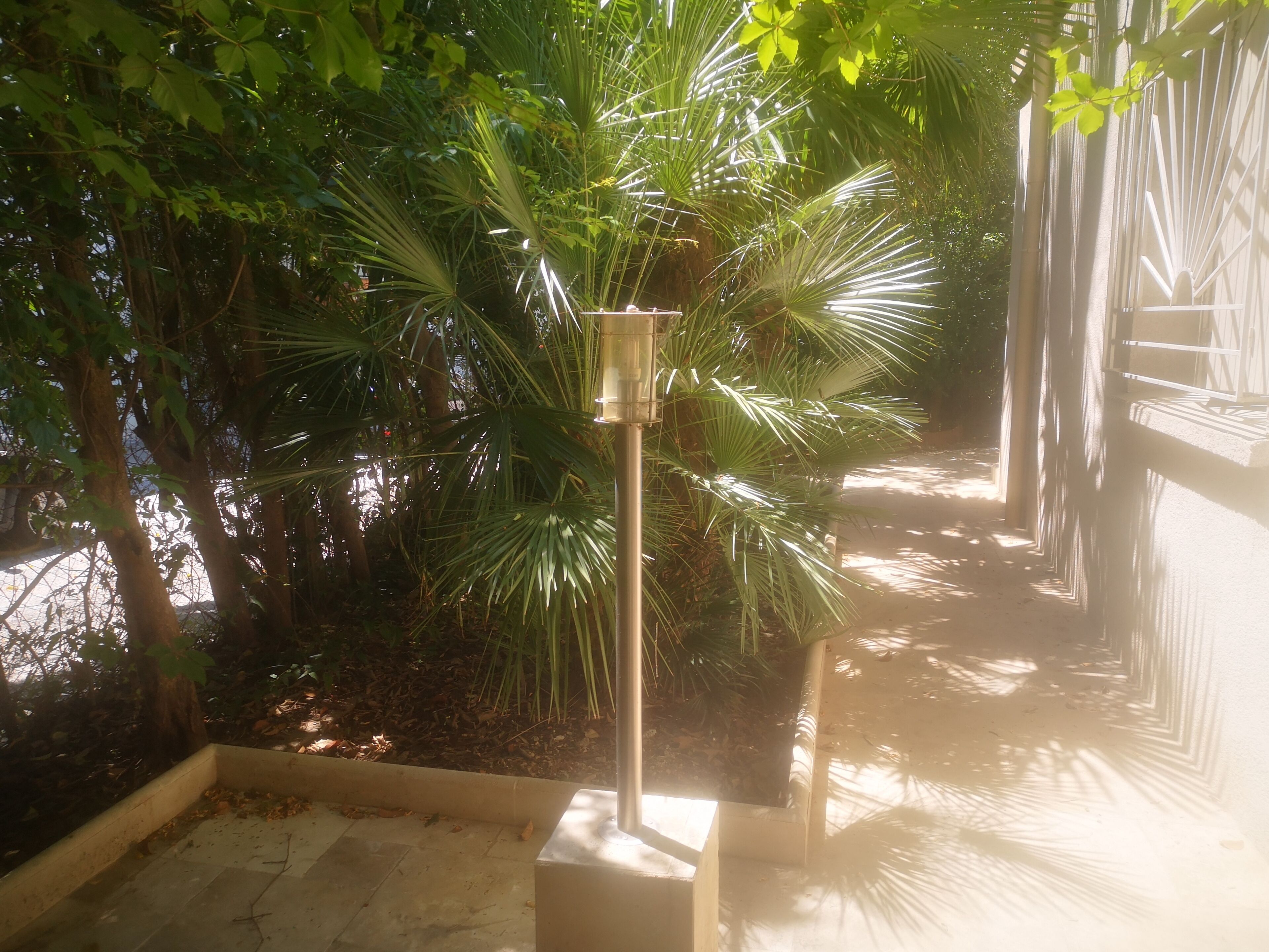 Habitación individual | Vista al jardín