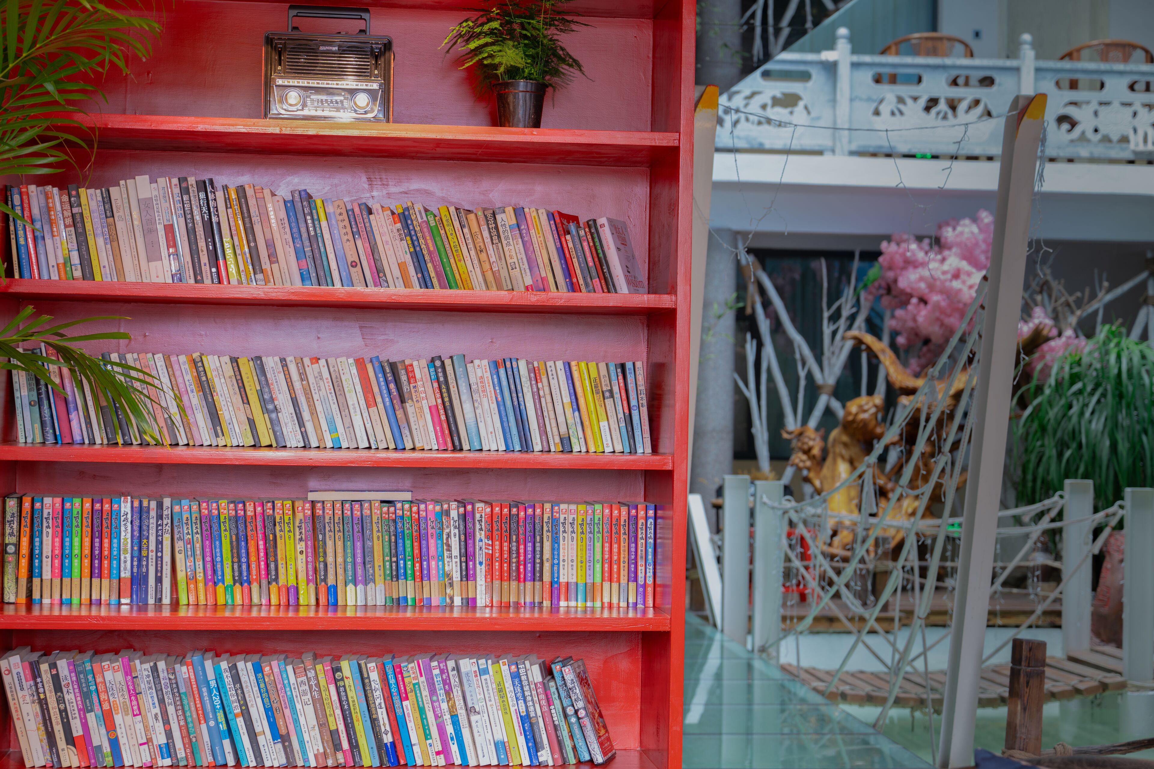 A bookshelf with multiple rows of books, a radio, and a potted plant.