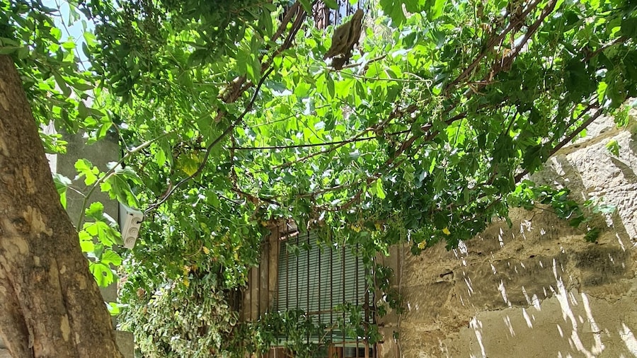 Casa Palacio Conde de Garcinarro