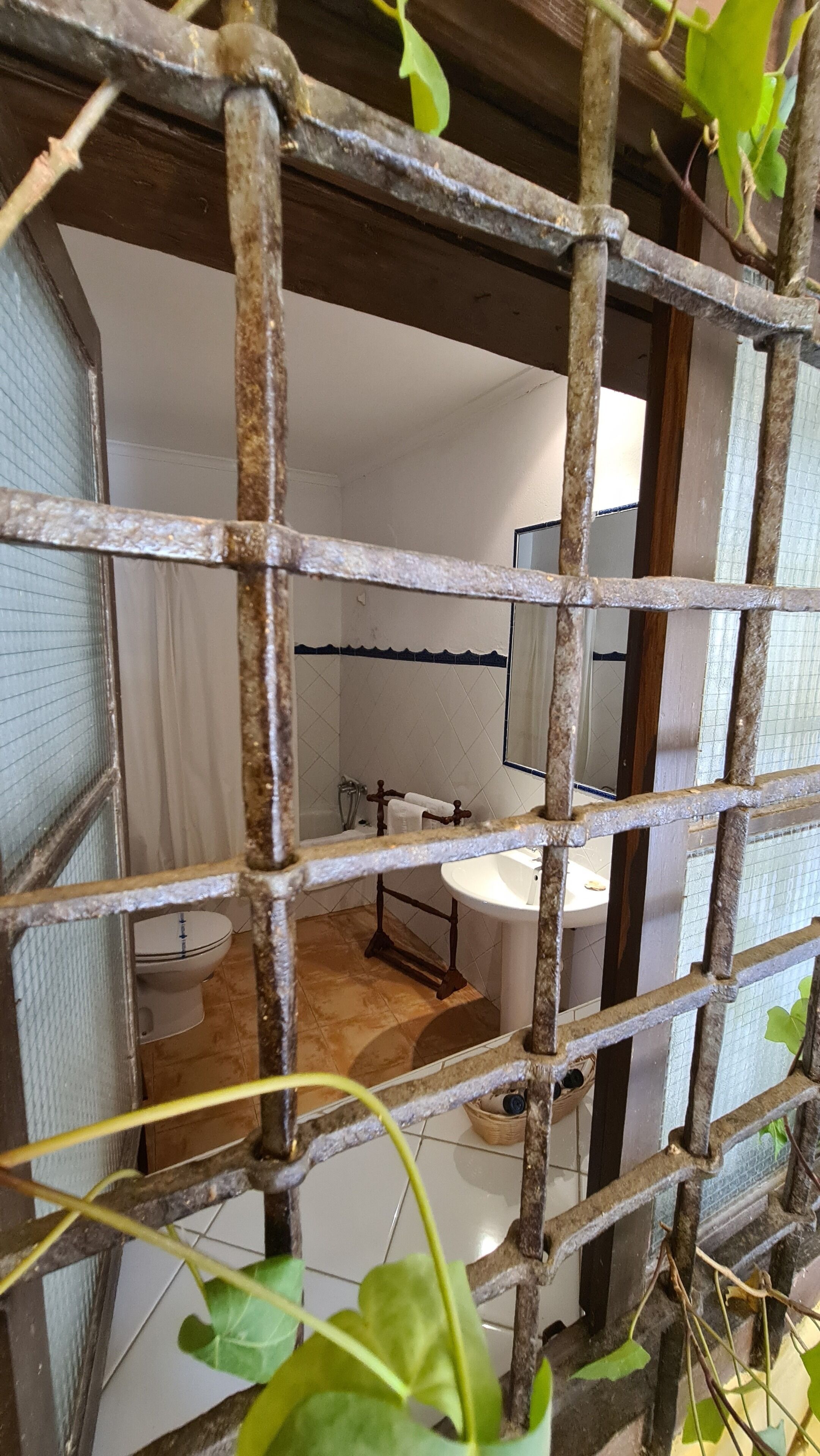 Une salle de bain comprenant des toilettes, un lavabo et un espace douche, visibles à travers une grille métallique.
