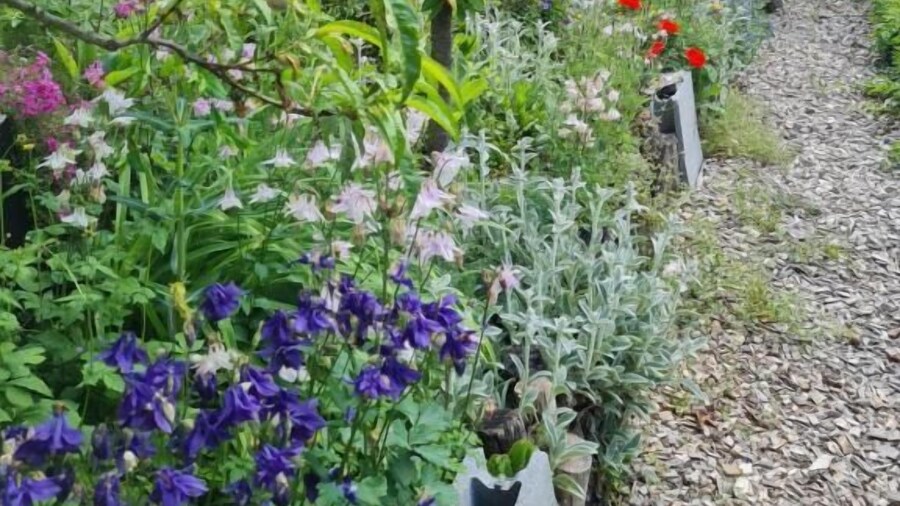 Ferienhaus BLACK & WHITE