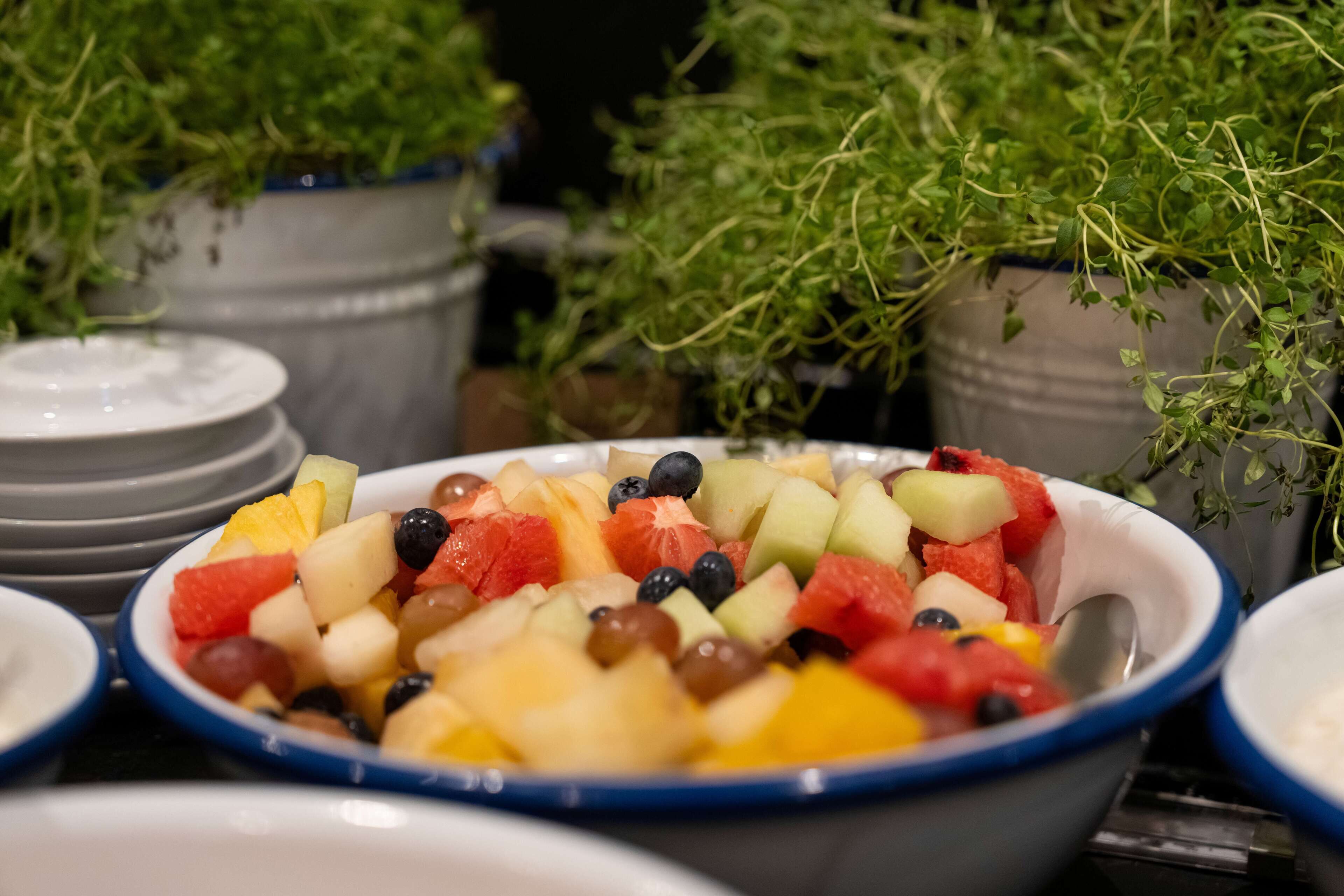 Un saladier rempli d’un assortiment de fruits, notamment de la pastèque, des raisins et du melon.