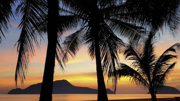 Una vista al atardecer con palmeras y mar tranquilo.
