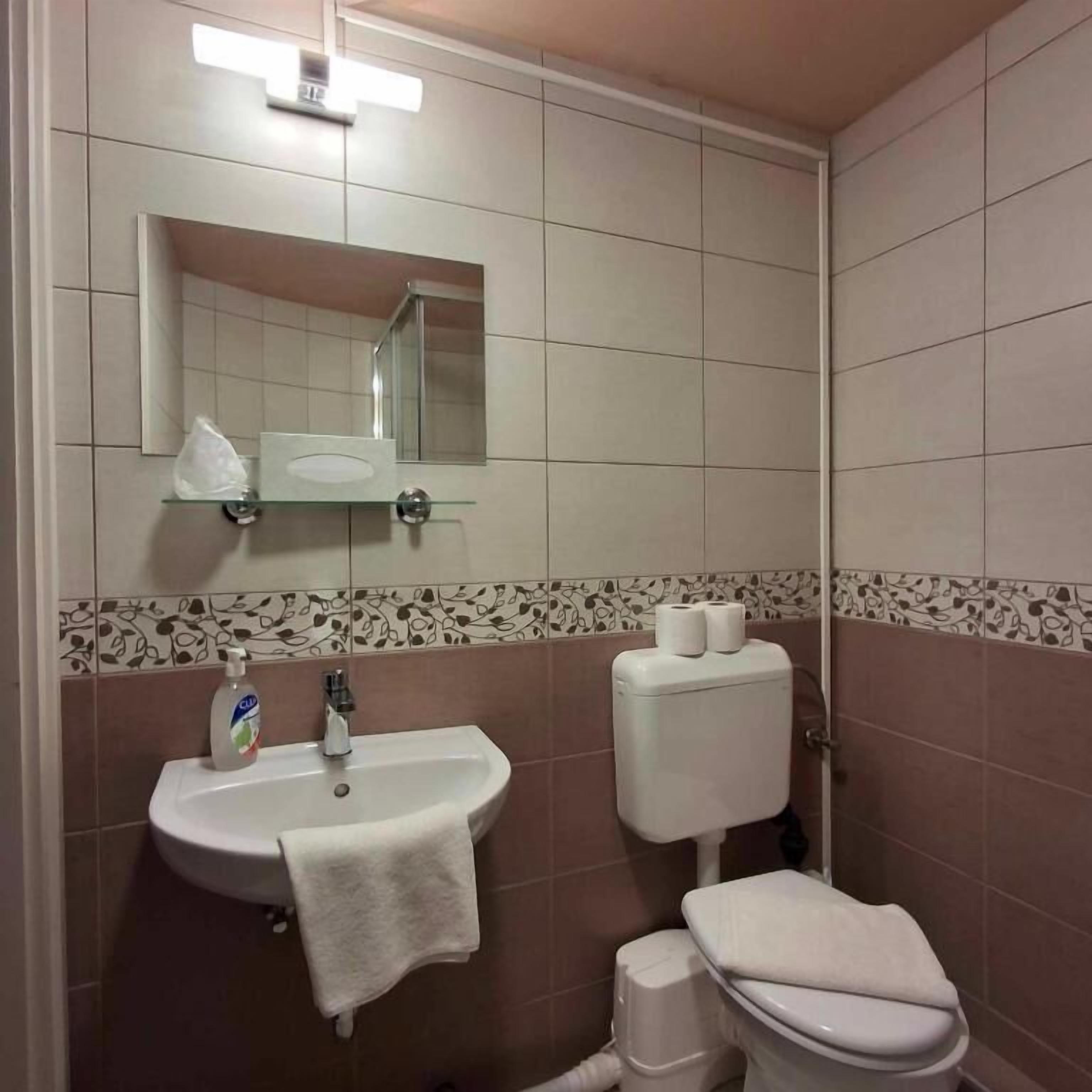 A bathroom with a sink, mirror, toilet, and a shelf with toiletries.