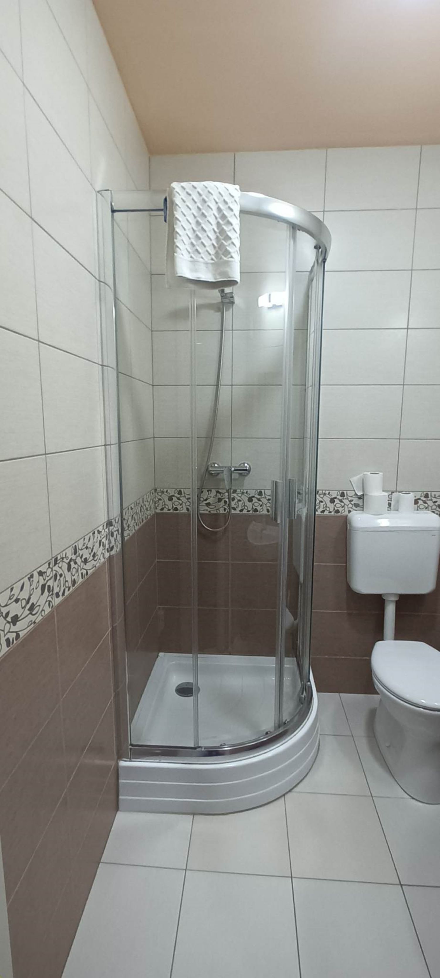 A glass-enclosed shower stall with a white toilet and a white sink in a bathroom with patterned tiles.