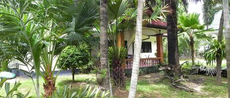 A tropical garden with palm trees and a house with a porch.
