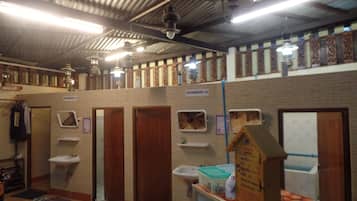 Standard Room with Shared Bathroom | Blackout curtains, free WiFi