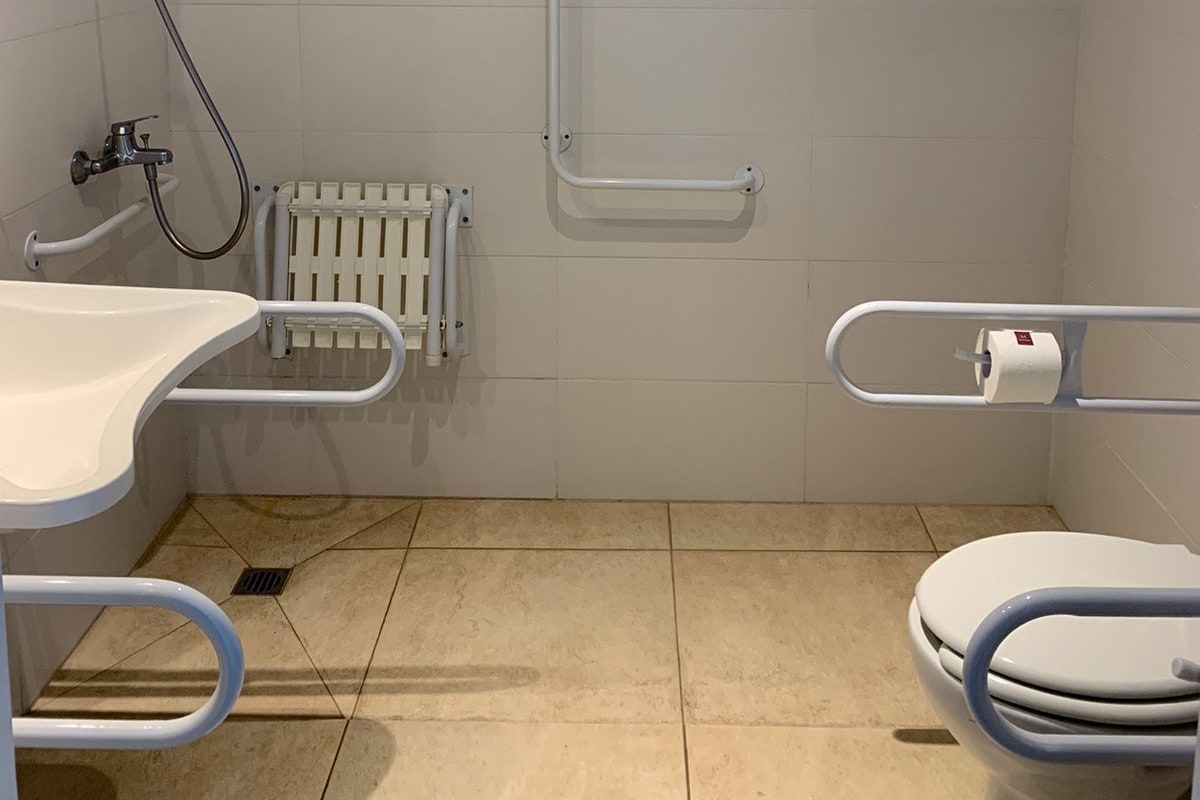 A bathroom with a toilet, a sink, a shower, and a handrail.