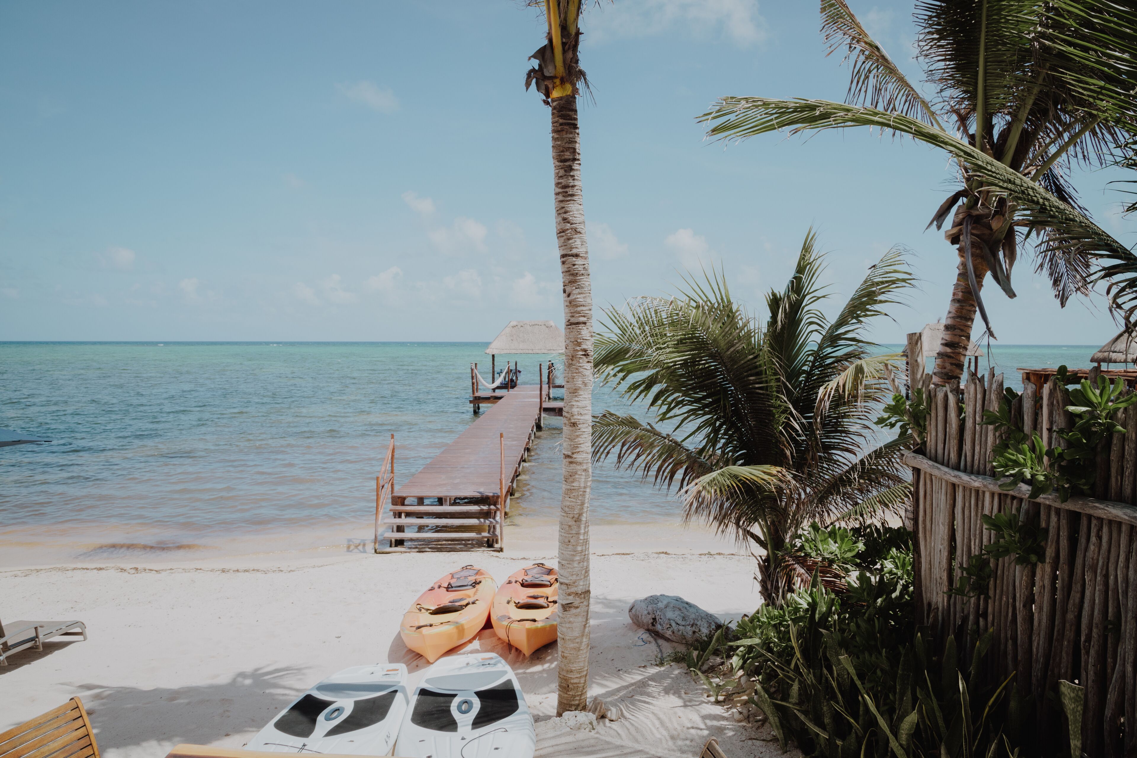 A beach with a wooden pier leading to a thatched-roof hut, kayaks, and a palm tree.