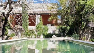 Outdoor pool, sun loungers