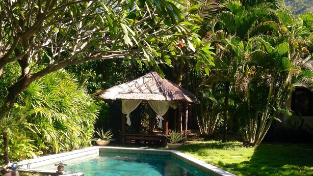Uma piscina retangular com água azul cristalina, rodeada por vegetação exuberante e um gazebo com telhado de palha.