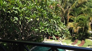 Vista de uma piscina rodeada por vegetação exuberante e palmeiras.